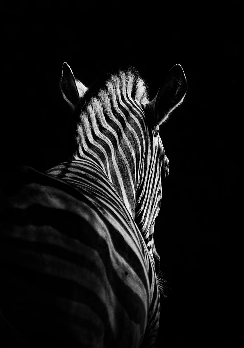 Stepping Down No.6 Plakat