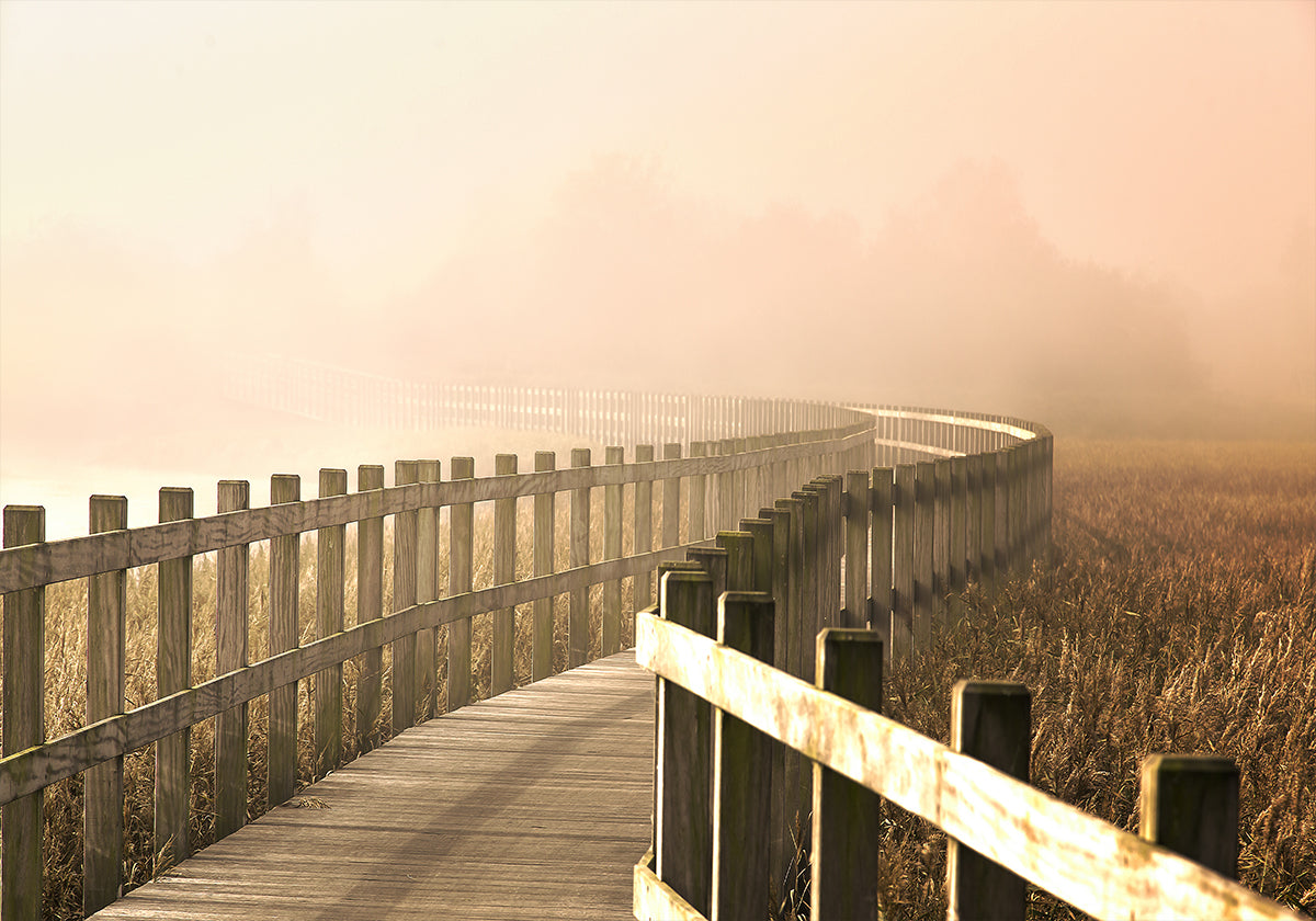 The Path gets brighter. - Posterbox