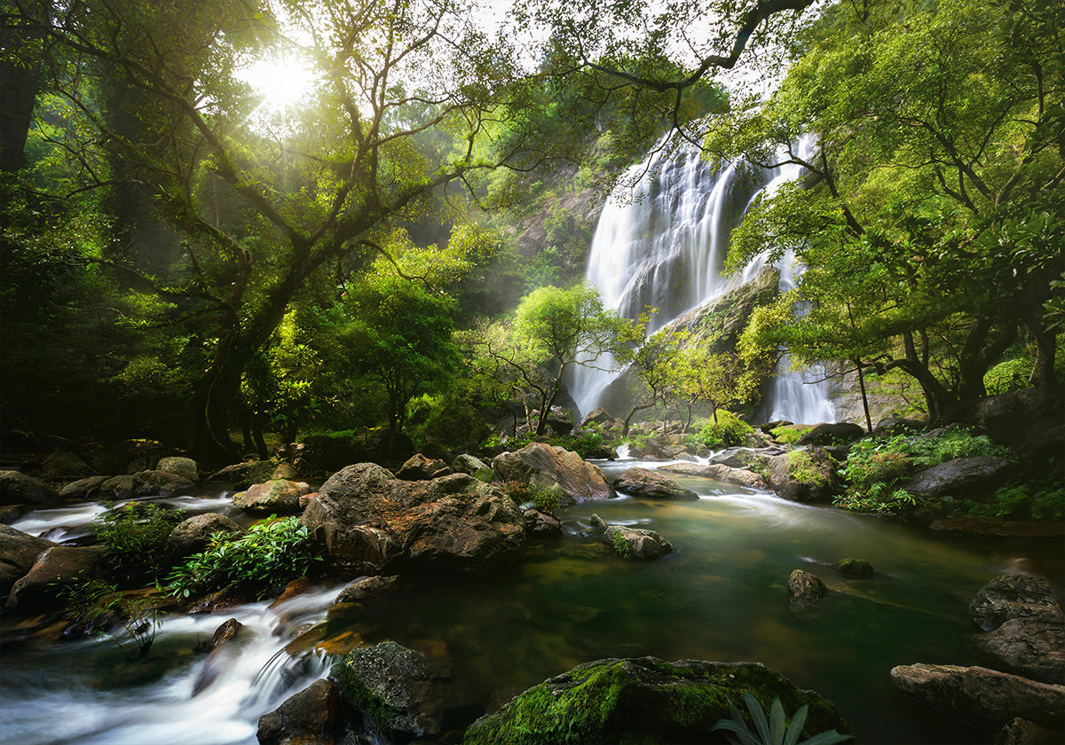 Mountain stream Plakat