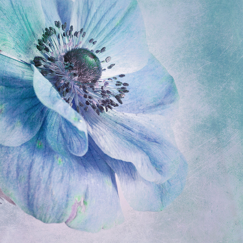 Shades of Blue Plakat