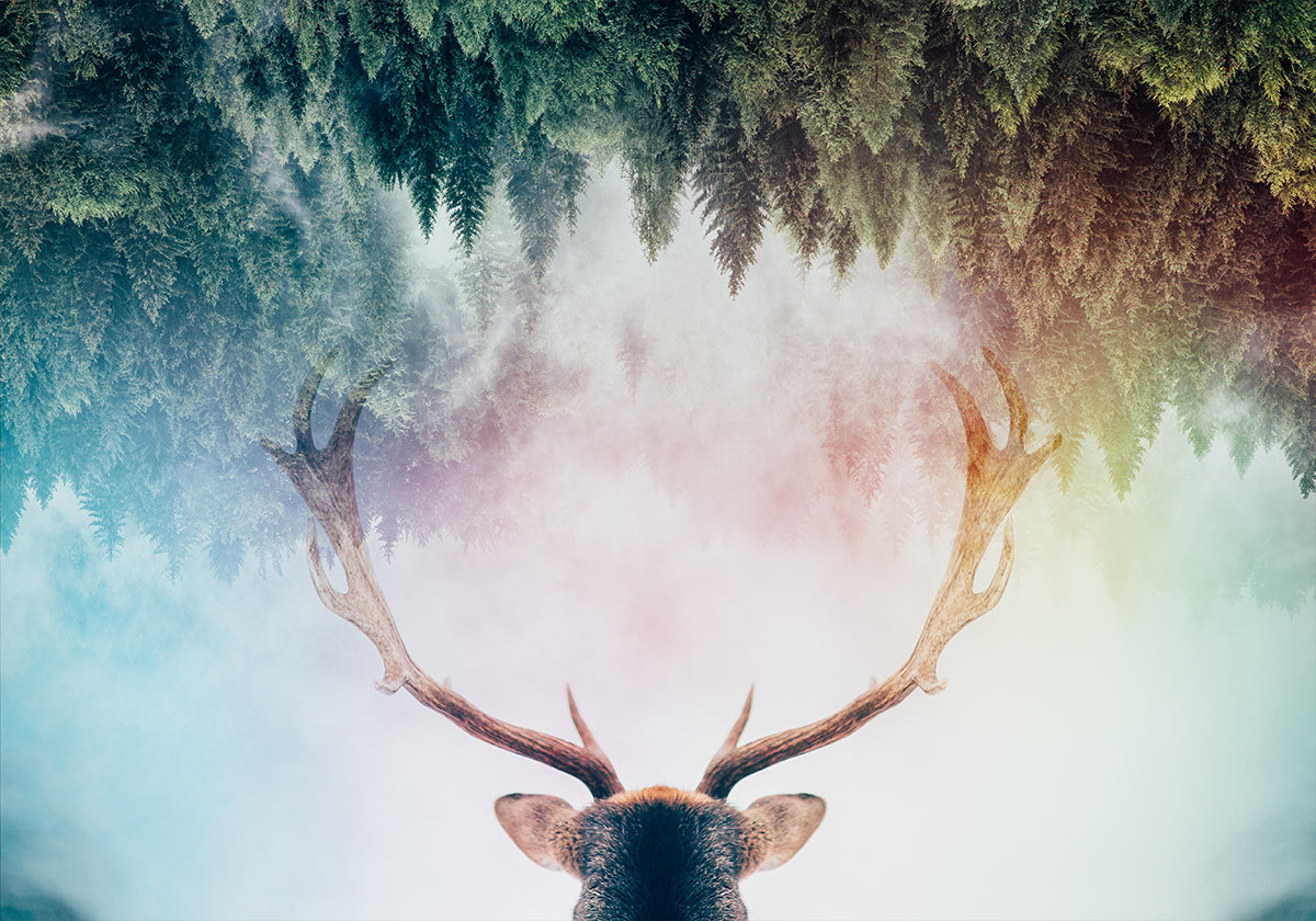 Antler Plakat