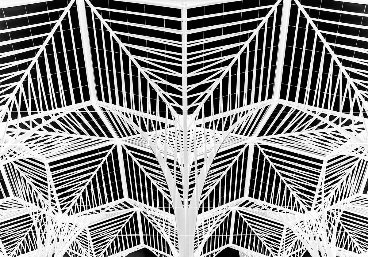 Enter the web Plakat