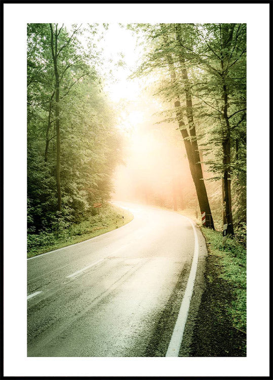 Fog Sunbeam Forest Plakat - Posterbox.no