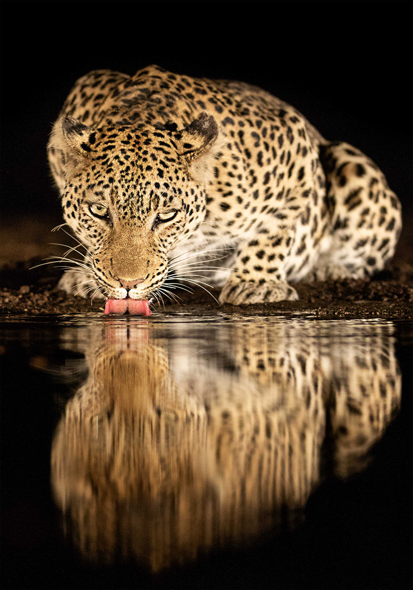 single mother Plakat