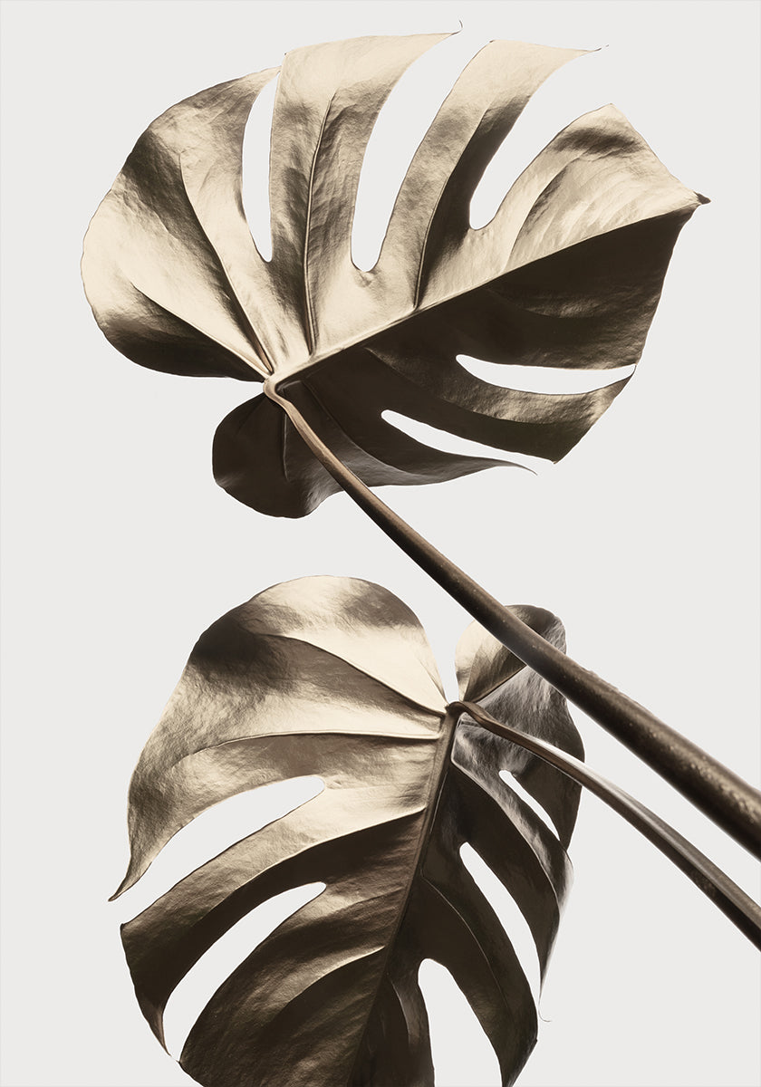 Monstera Gold 08 Plakat