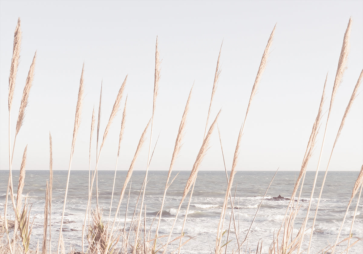 Beach_Vass_002 Plakat