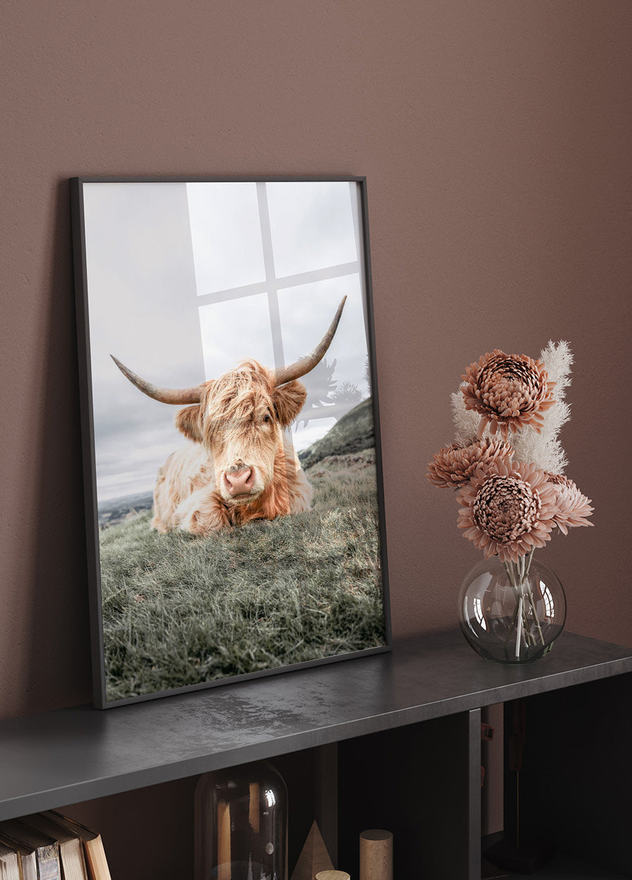 Highland Cow Chilling Plakat - Posterbox.dk