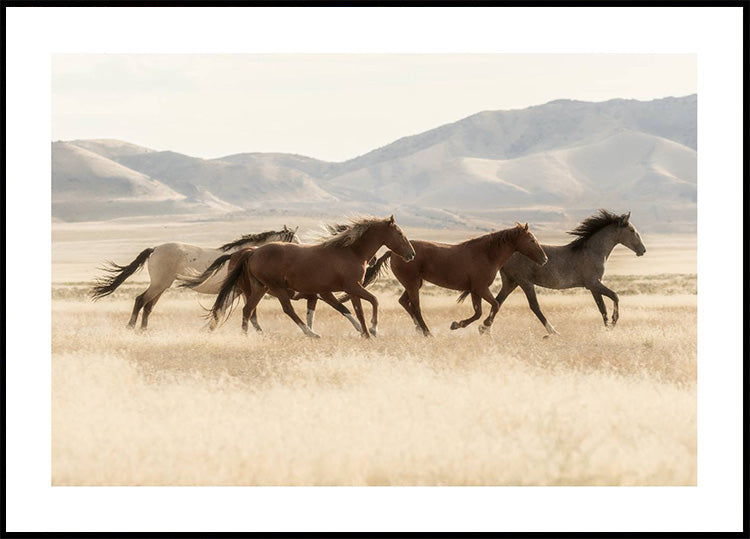 Wild Horses Running Plakat - Posterbox.dk