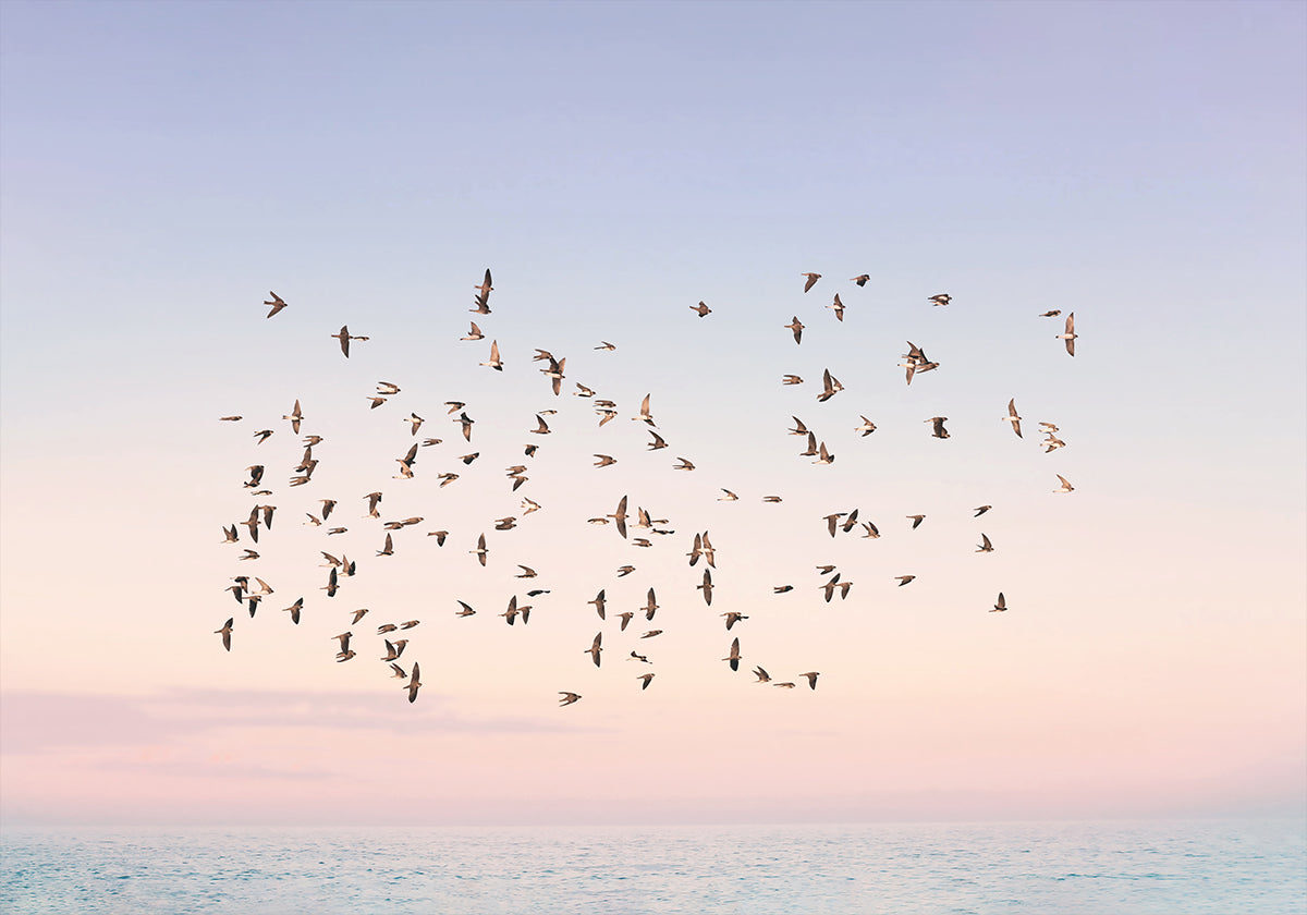 Sunset Flight Plakat