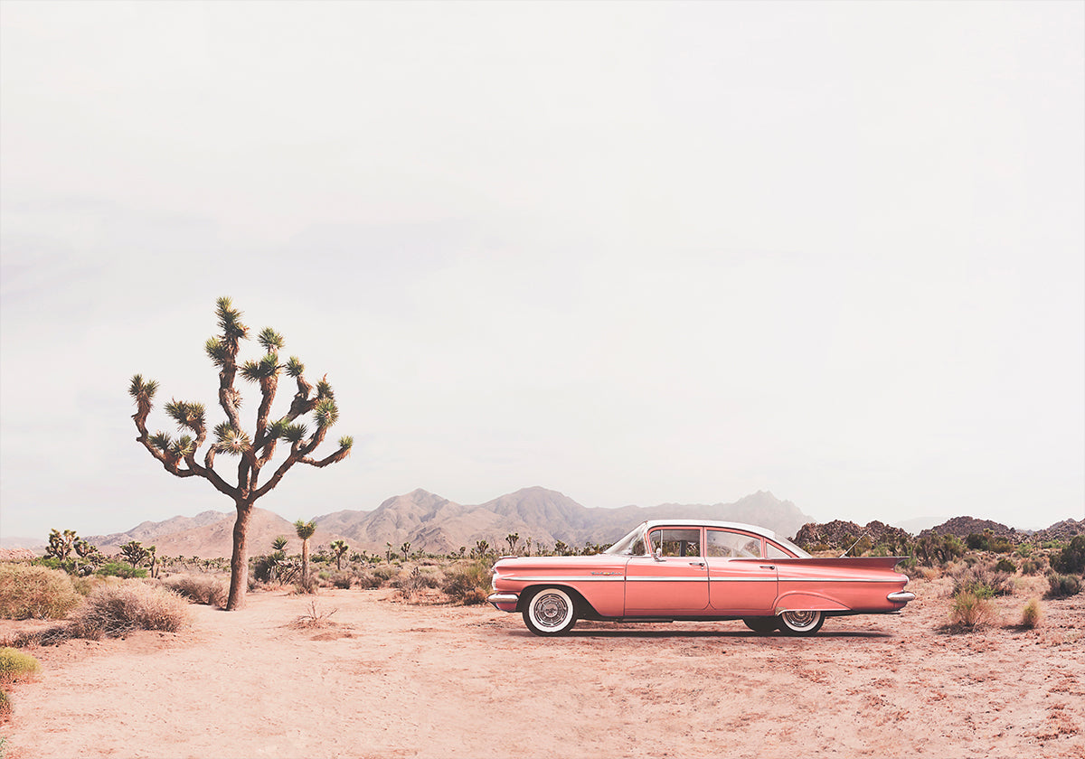 In the desert Plakat