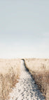 To The Beach Plakat - Posterbox