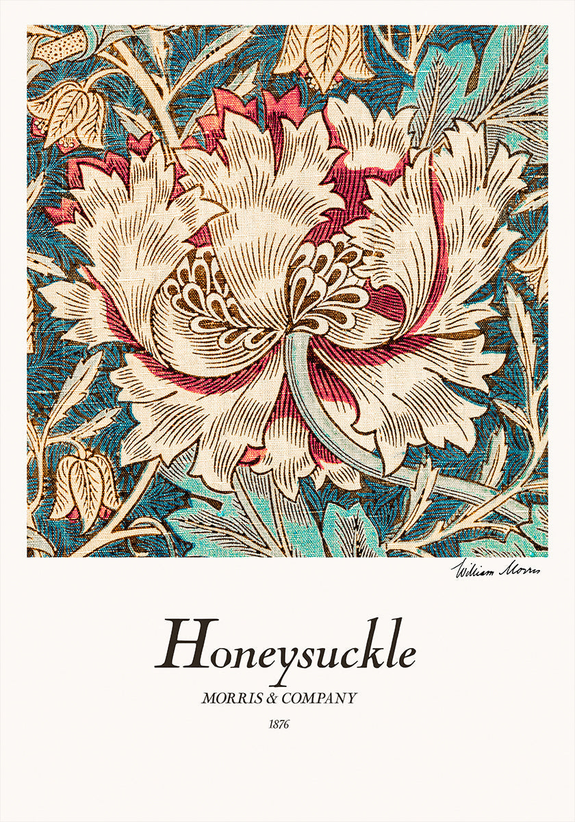 Honeysuckle Plakat - Posterbox