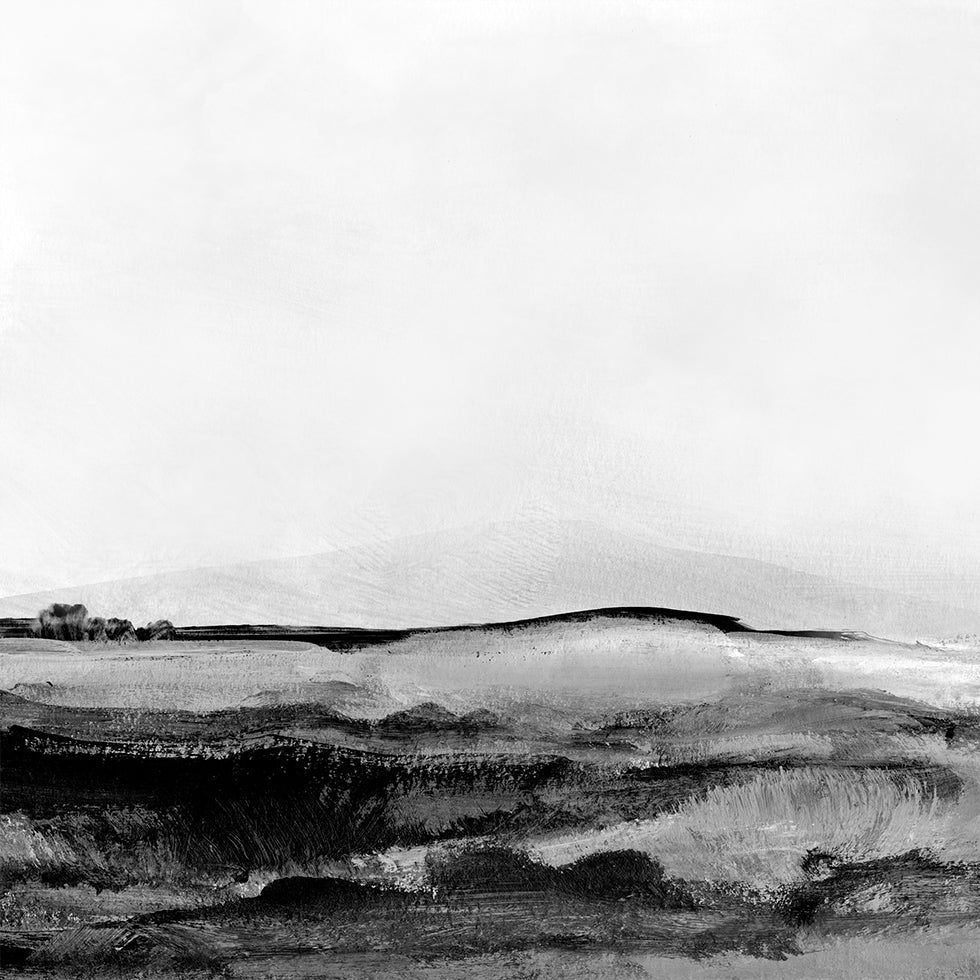 Mono Landscape No1 Plakat