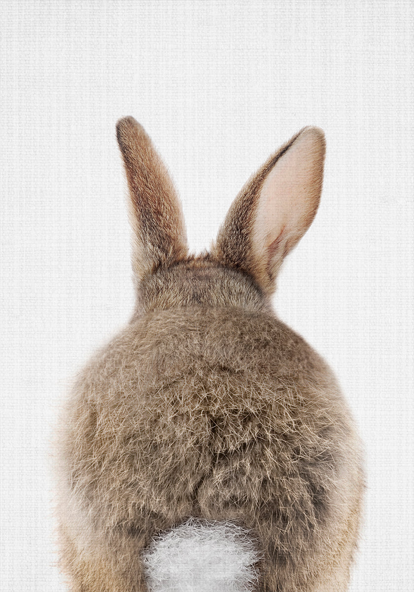 Peekaboo Bunny Tail Plakat