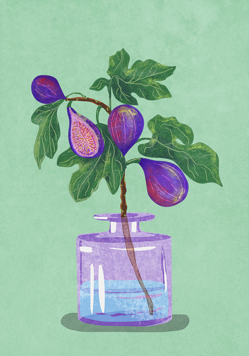 Figs Branch In Vase Plakat