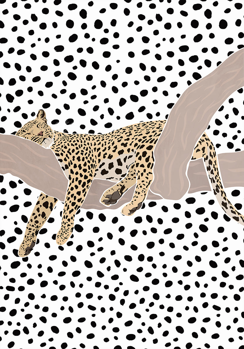 Leopard Sleeping Polkadots Plakat