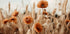 Poppies in Breeze - Posterbox