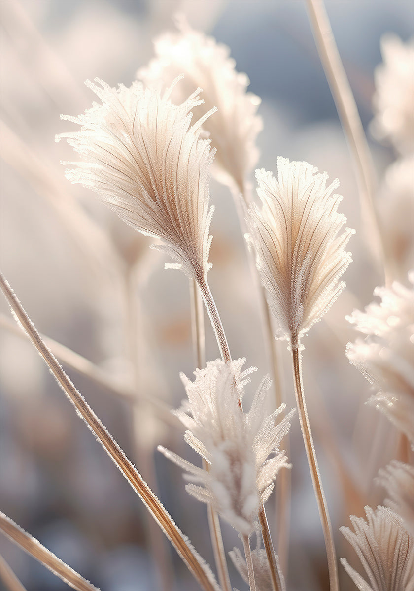 Frosted Elegance Plakat