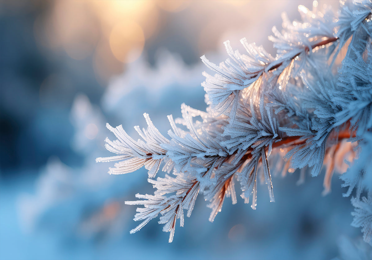 Frosted Serenity Plakat