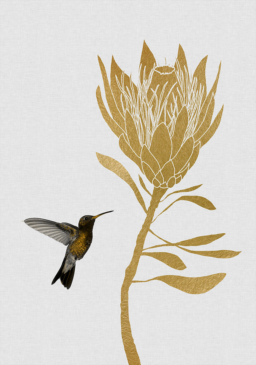 Hummingbird & Flower I Plakat