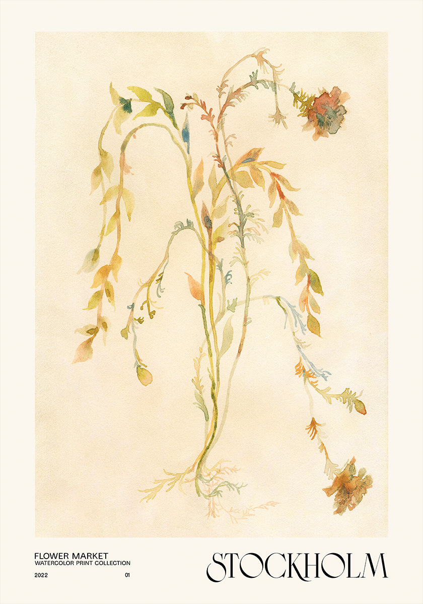 Watercolor print collection. Flower market - Stockholm