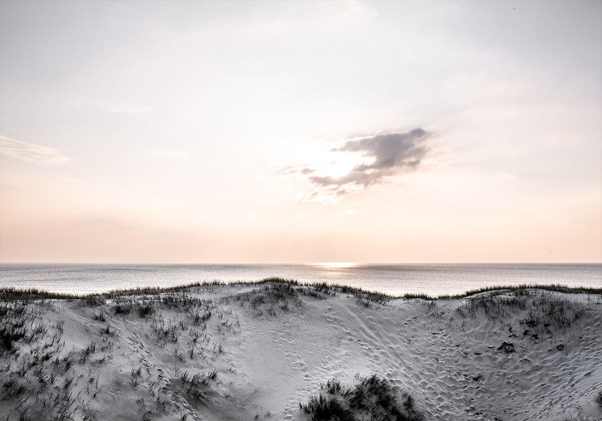 At The Coast 1X Plakat