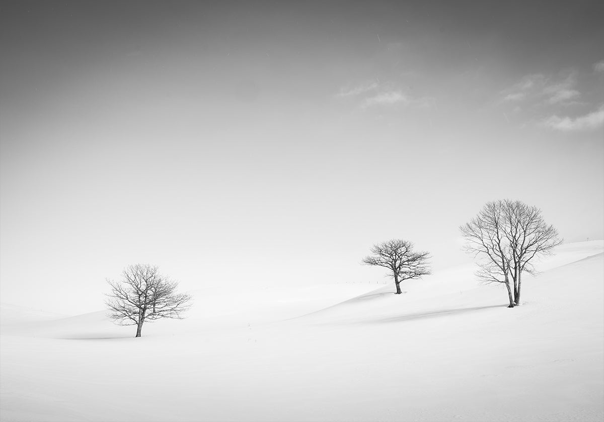 Just the Three of Us Plakat - Posterbox