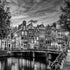 AMSTERDAM Idyllic impression from Singel - Monochrome Plakat - Posterbox