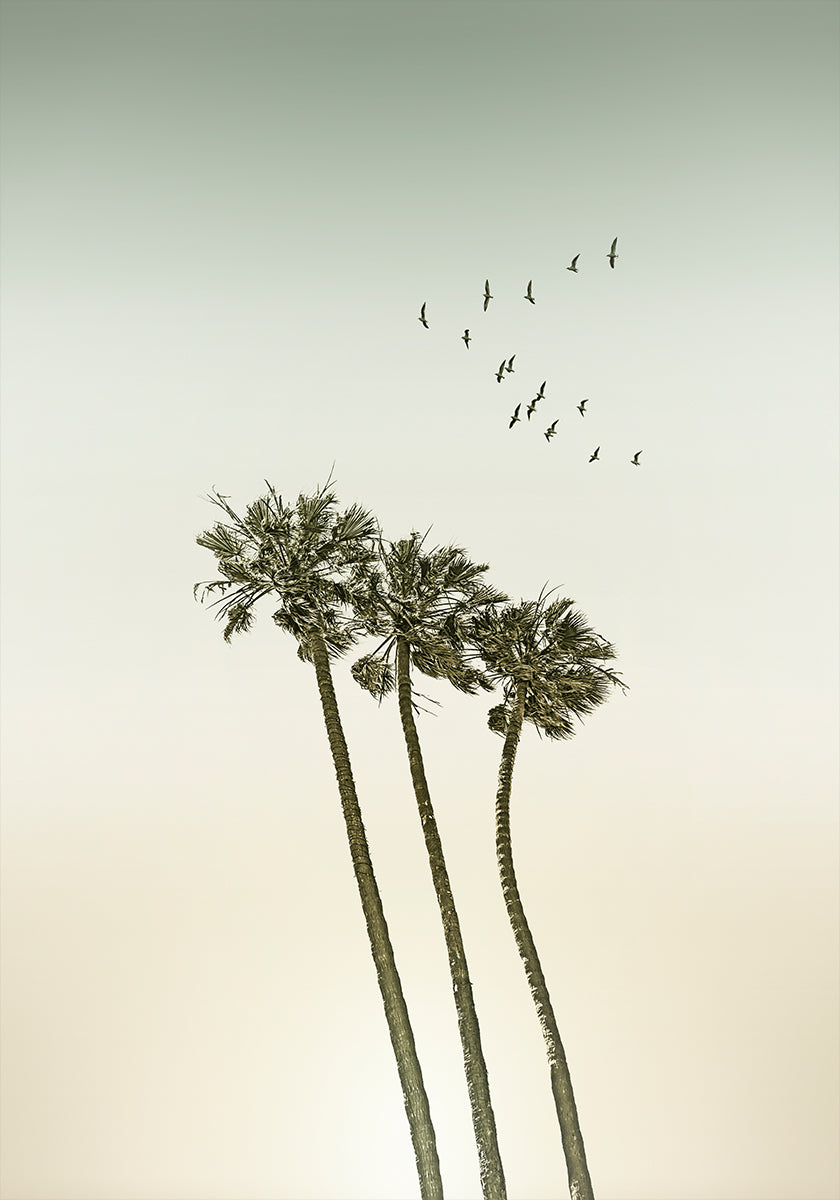 Vintage minimalist palm trees &amp; sunset Plakat