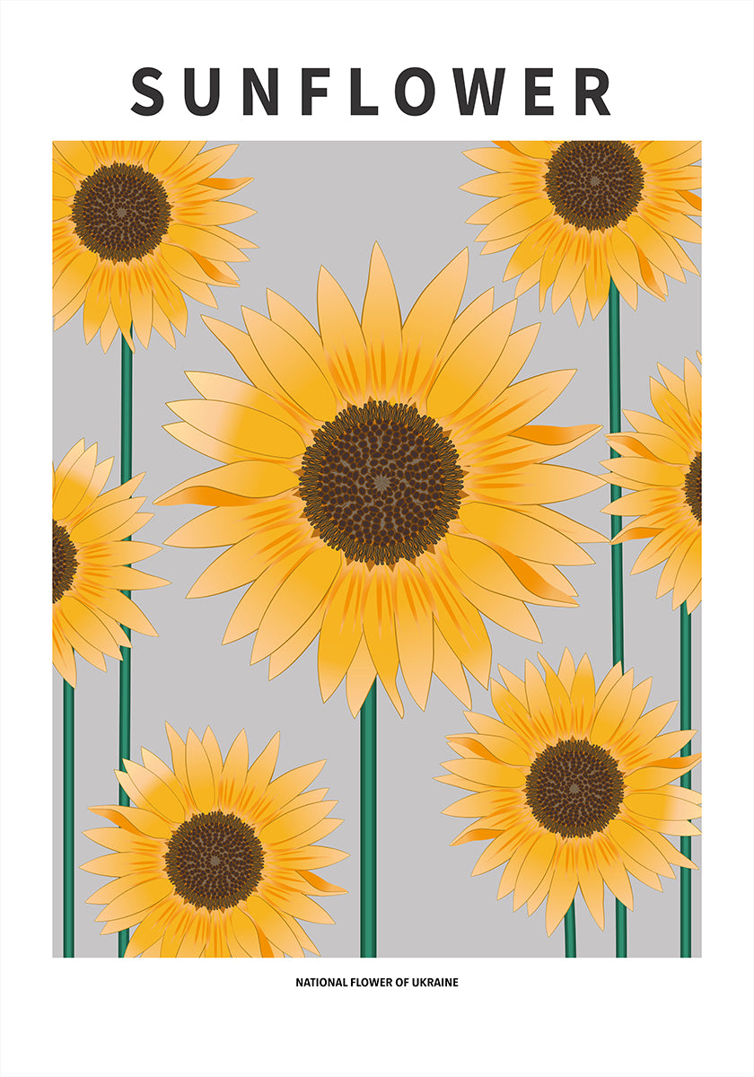 Sunflower - National flower och Ukraine Plakat