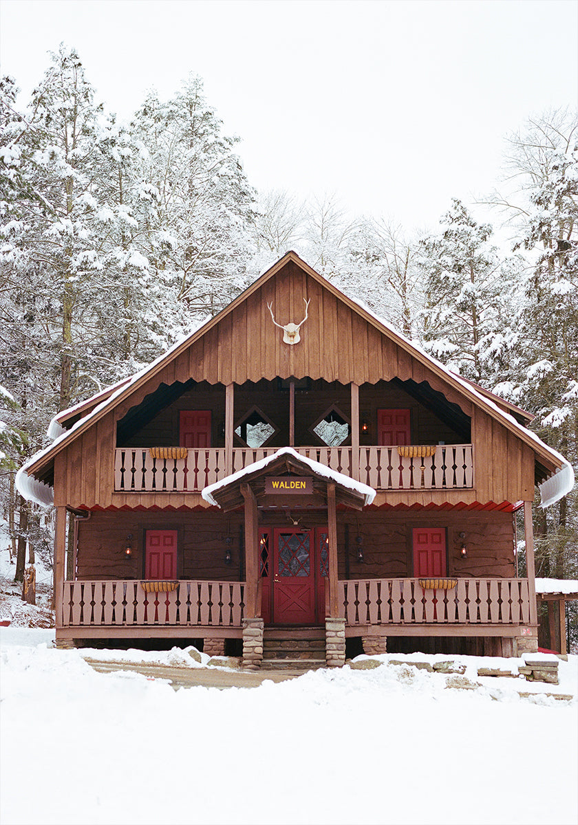 Upstate New York Snow XI Plakat - Posterbox