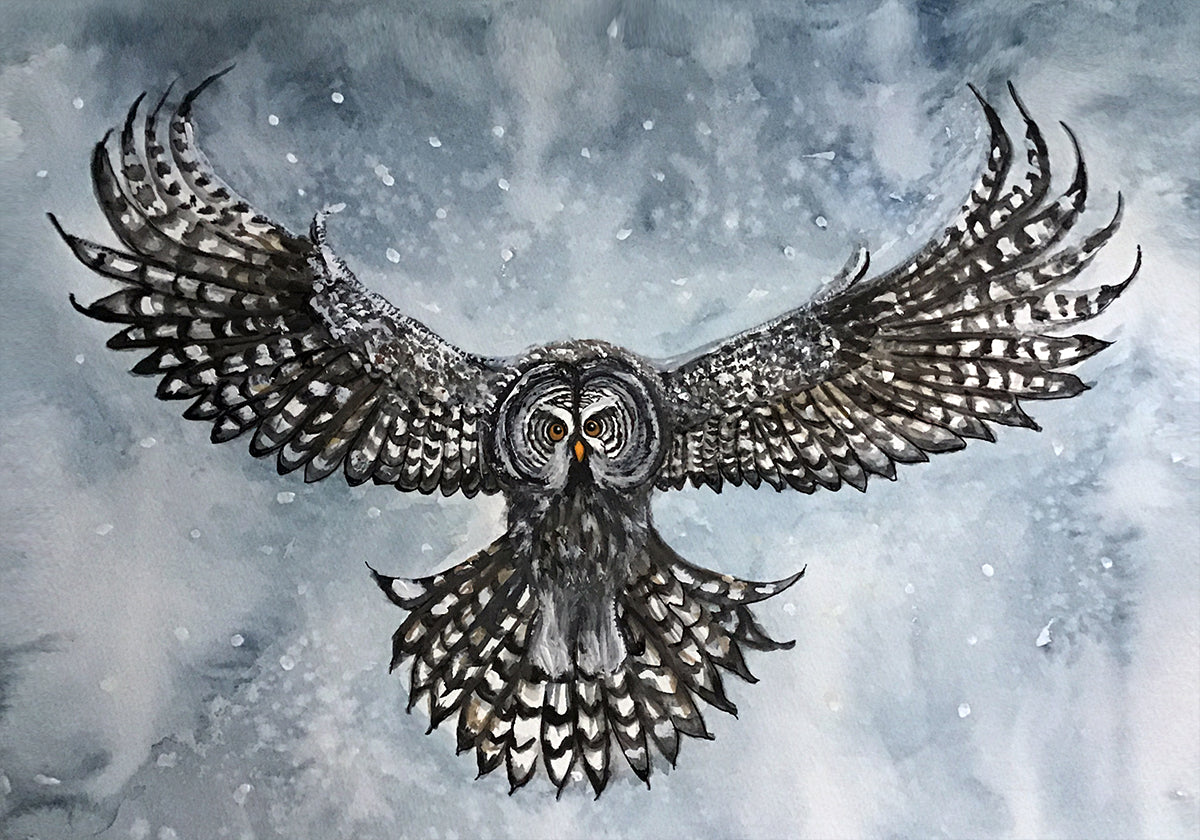 great grey owl Plakat