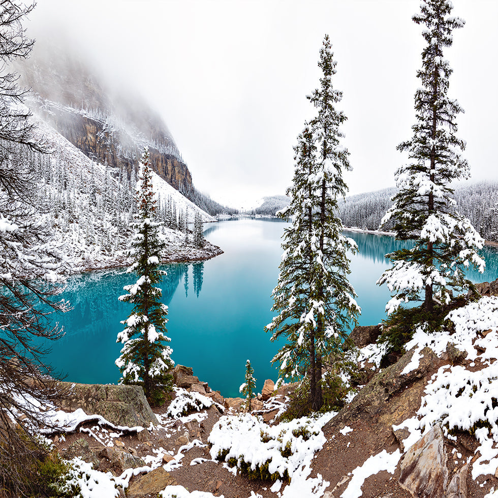 Snow at Moraine Plakater