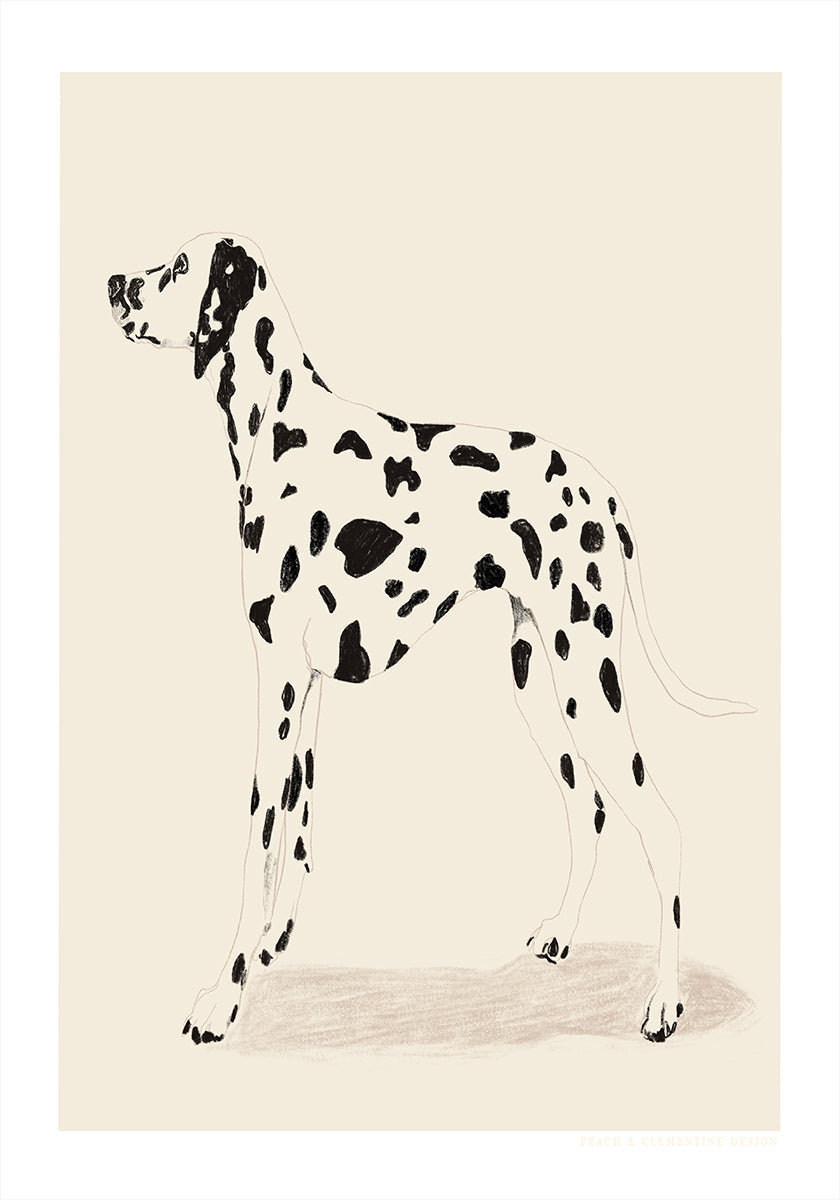 Pandc Dalmation Plakat