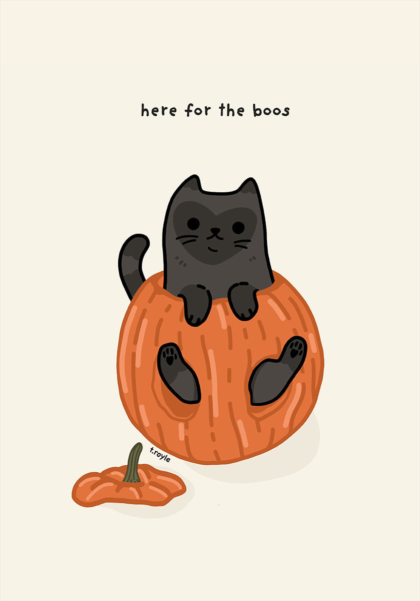 Black Cat Playfully Sitting In A Pumpkin