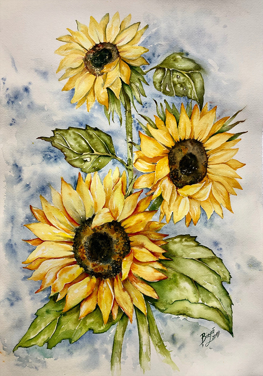 Sunflowers