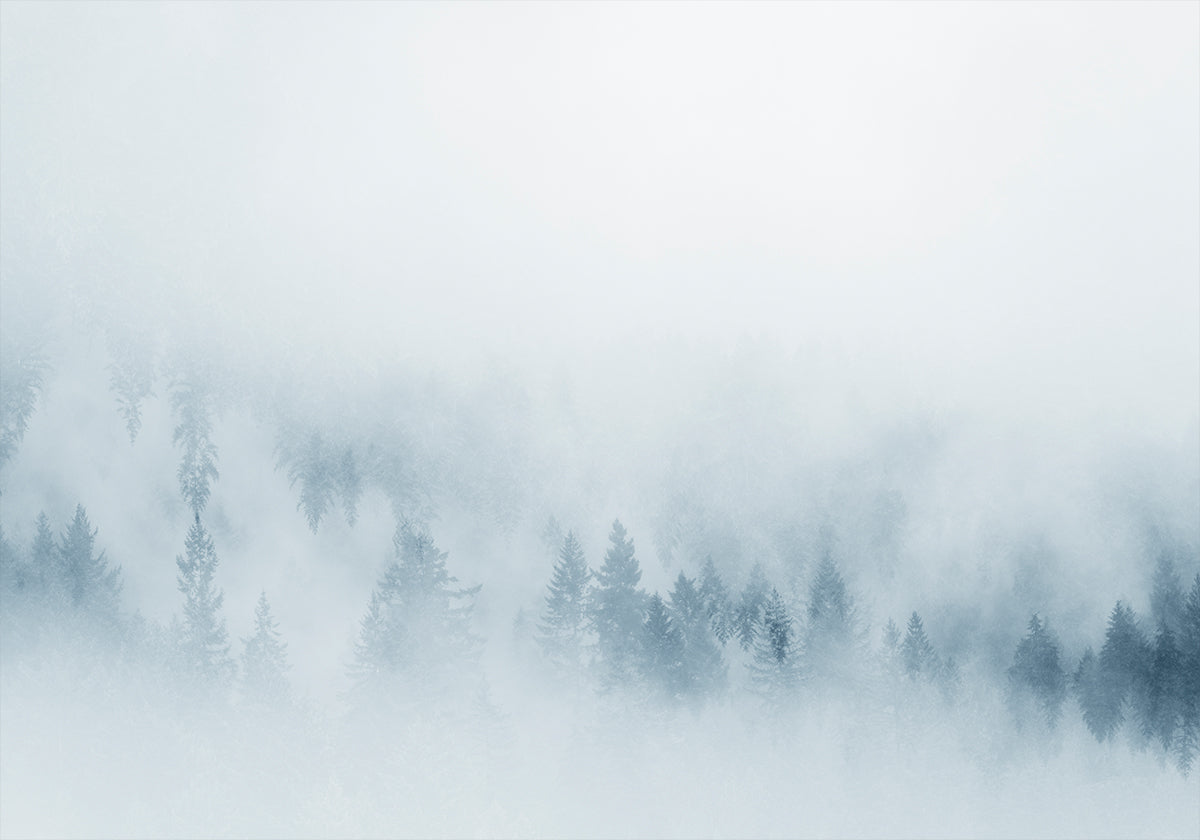 Misty Pines Plakat