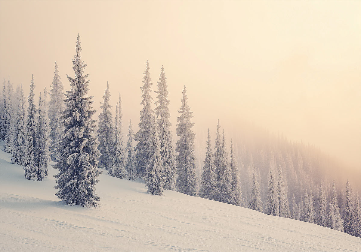 Winter Landscape Snowy Pines Plakat