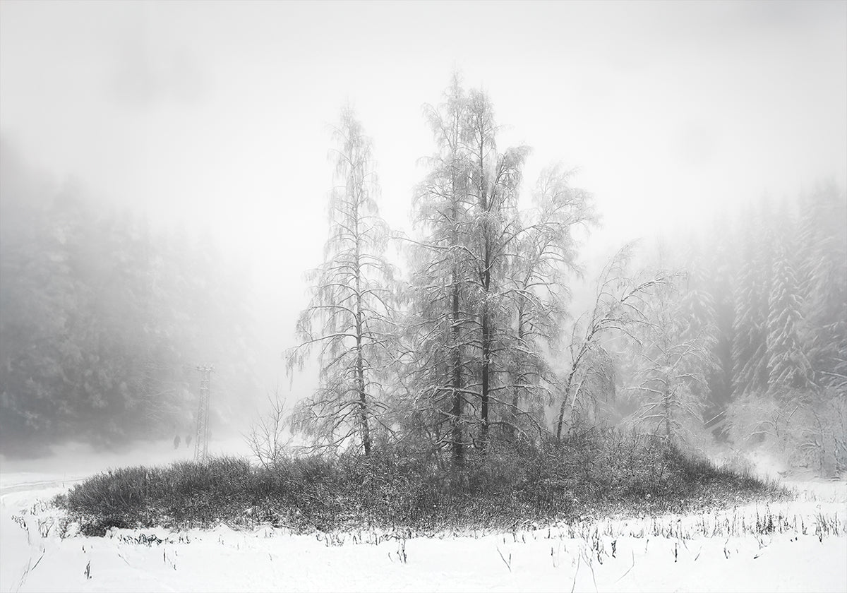 Winter in the mountain Plakat