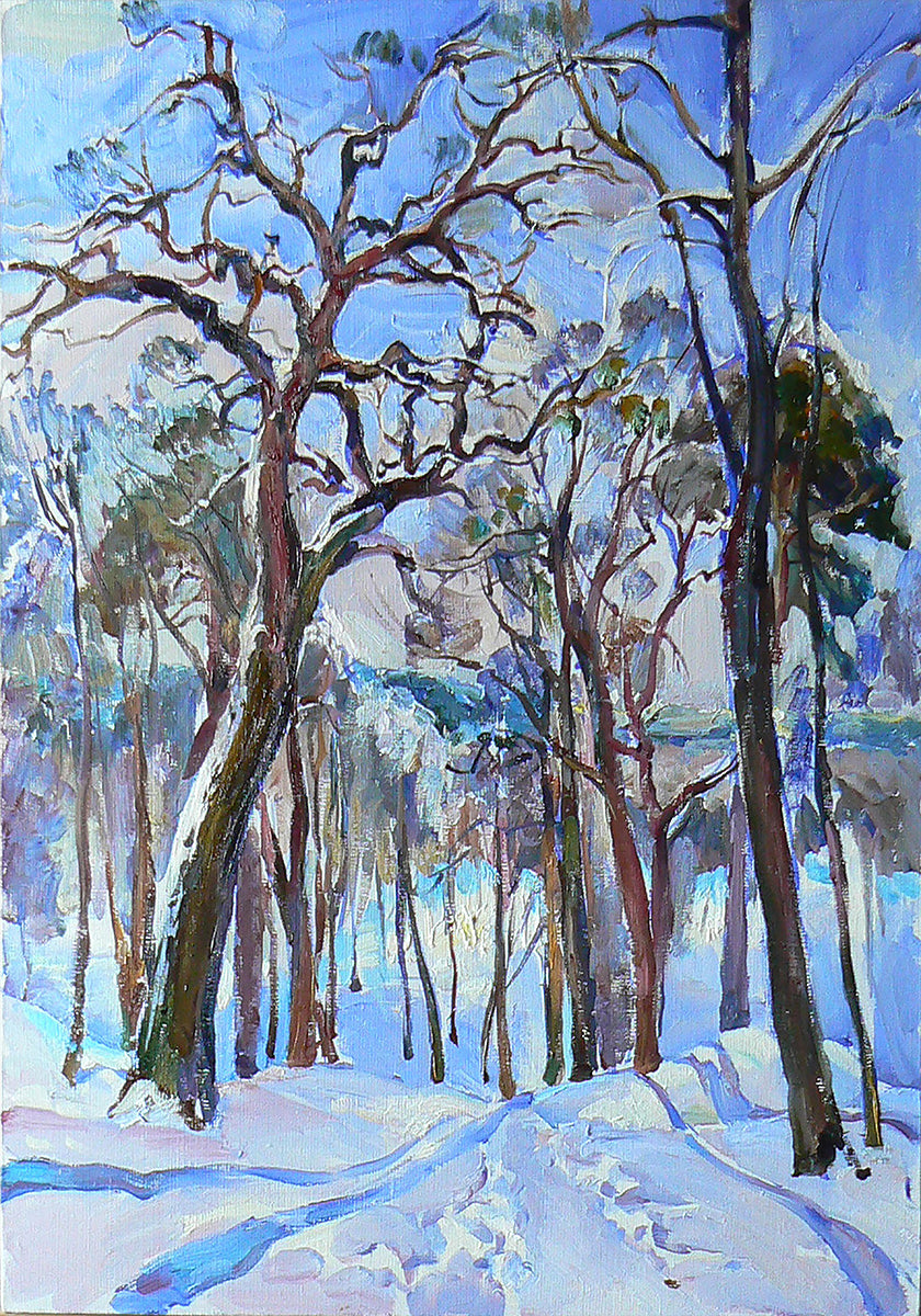 Winter forest Plakat