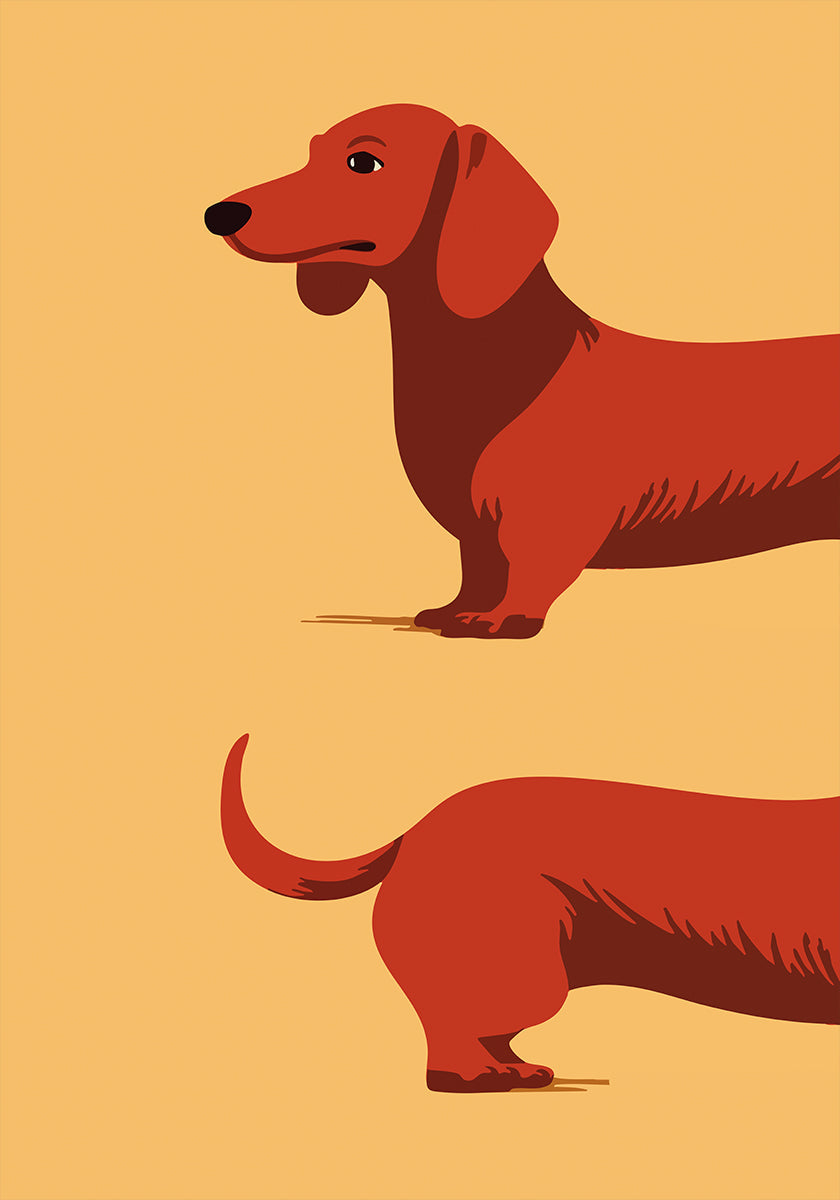 Dachshund Plakat
