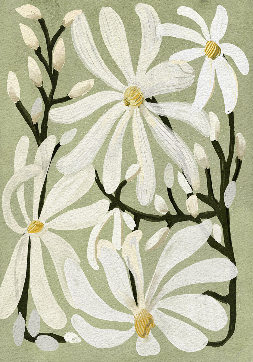 Star Magnolia Florals on Sage background Plakat