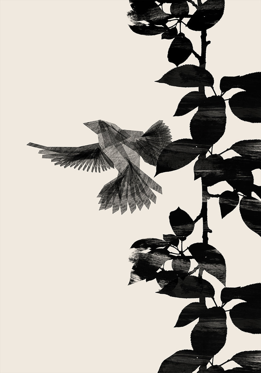 Bird Botanical a 20x30 Plakat