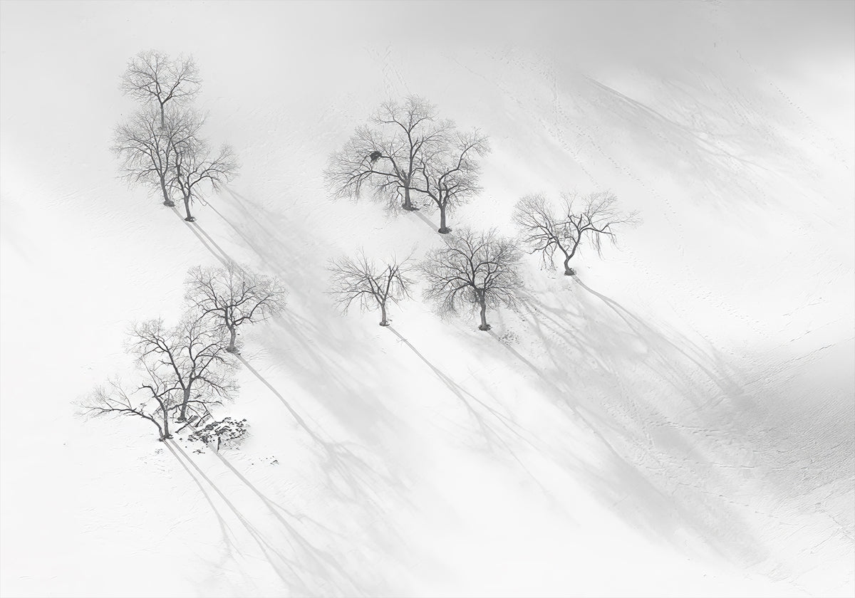 Winter dream - a still ballet Plakat