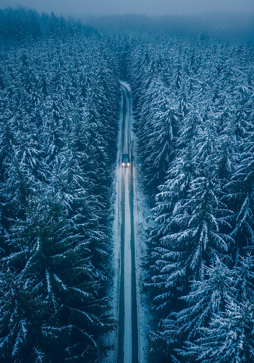 The Longest Winter Plakat