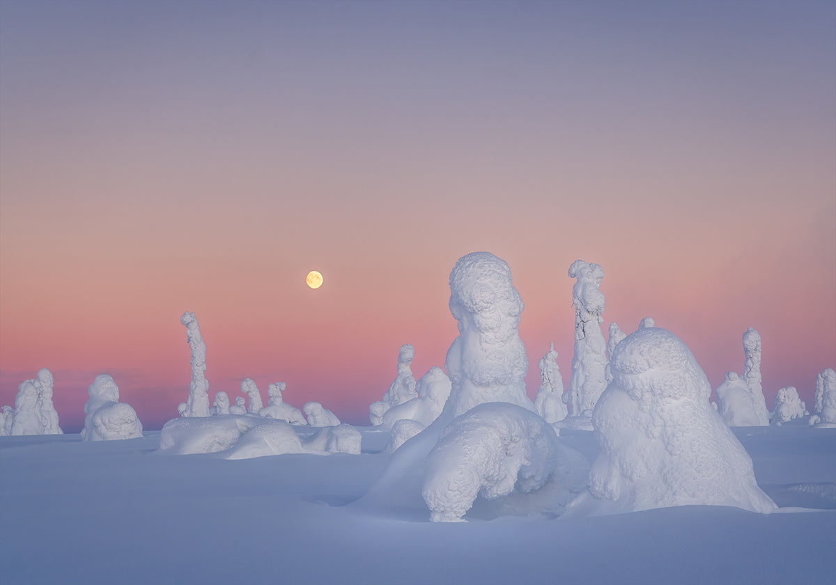 Shakespeare's Drama Plakat