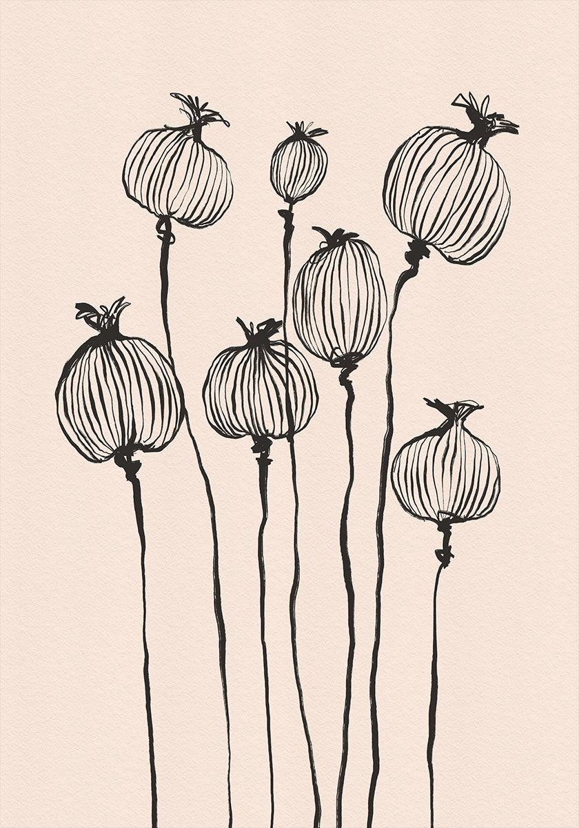 Poppy Pods Plakat