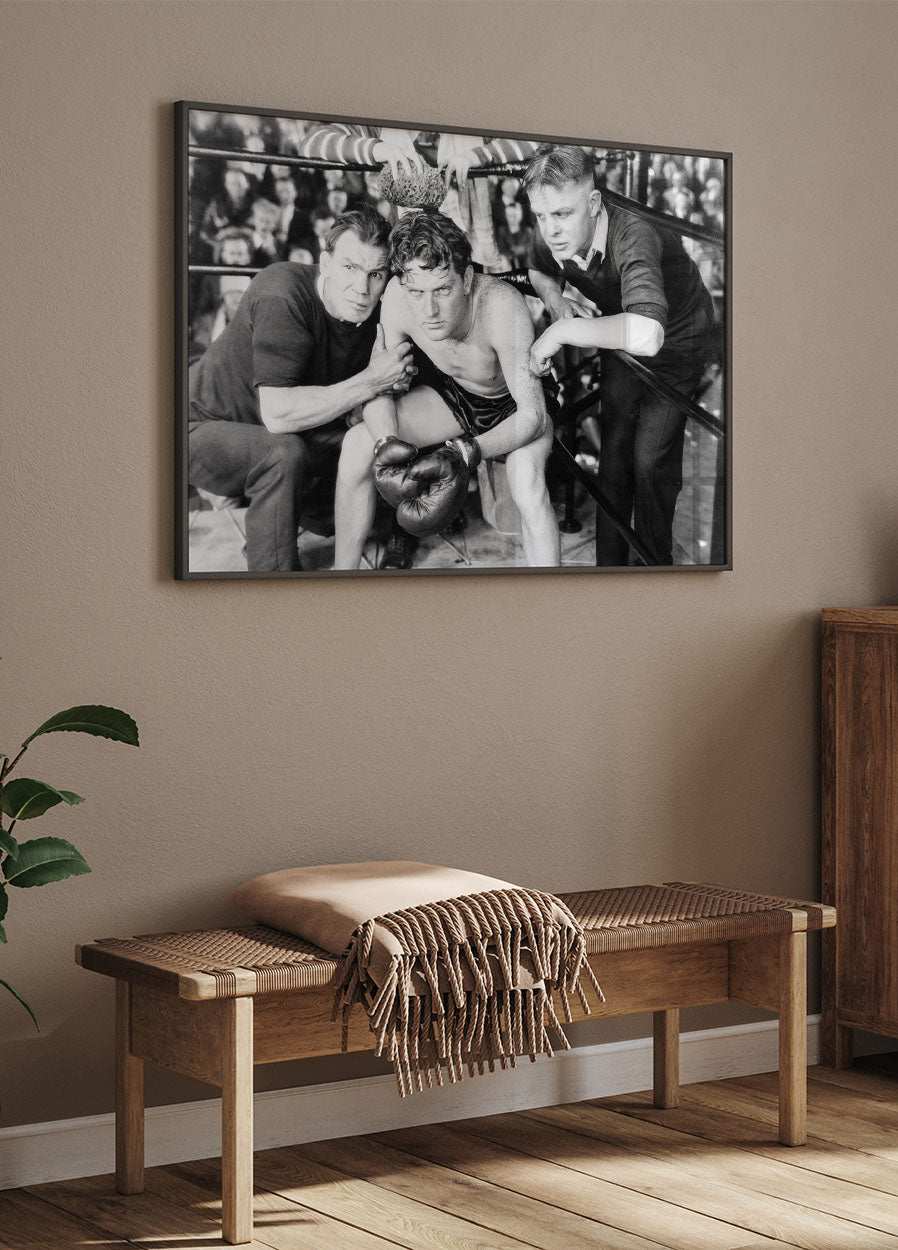 Boxer in Corner Plakat - Posterbox.no