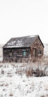 Sandhills Cabin in Snow Plakat - Posterbox.no