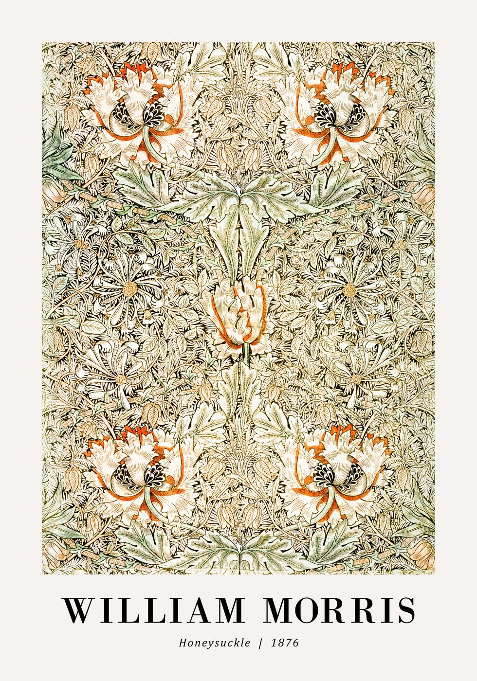 William Morris Honeysuckle 1876 Plakat - Posterbox.no